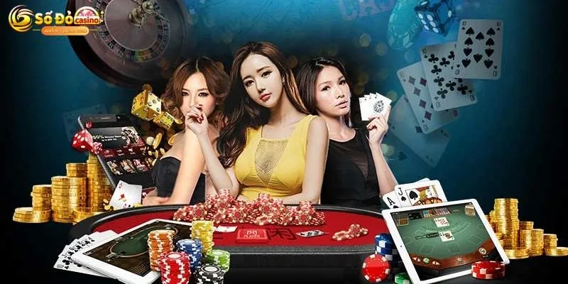 Lý do vì sao bạn nên đăng ký đại lý Sodo66